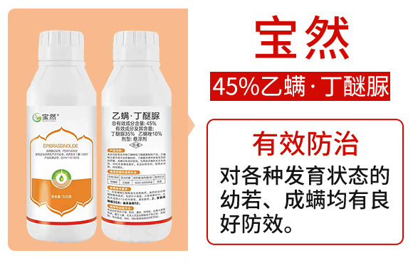 涔欒灗路涓侀啔鑴?瀹濈劧_02.jpg 涔欒灗路涓侀啔鑴?瀹濈劧_02.jpg