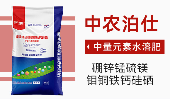 鑾炵編路鐖嗘牴-浣崇瀹滃啘_03.jpg 鑾炵編路鐖嗘牴-浣崇瀹滃啘_03.jpg