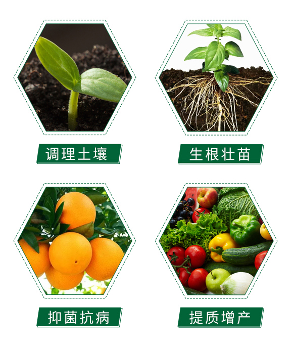 寰敓鐗╄弻鍓?鍦版枟澹?鍙?鍗庤兘涓熆_05.jpg 寰敓鐗╄弻鍓?鍦版枟澹?鍙?鍗庤兘涓熆_05.jpg