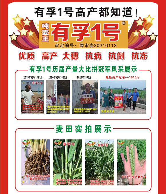 寰俊鍥劇墖_20250925154633_116_561.jpg 寰俊鍥劇墖_20250925154633_116_561.jpg