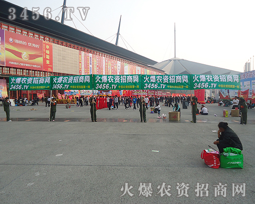 生機(jī)勃勃的火爆隊(duì)伍