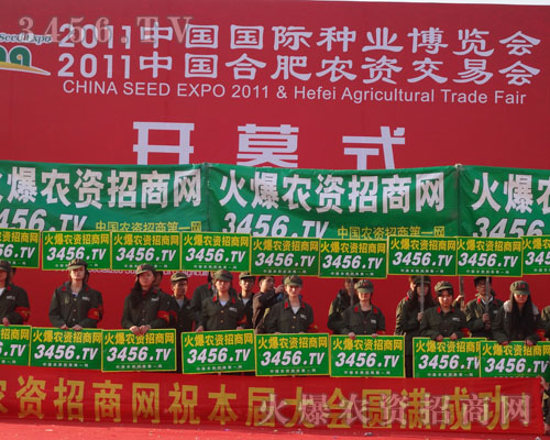 ���Ͱ���������