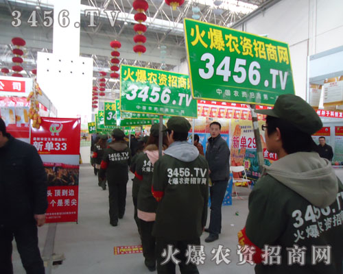 我們是堅持不懈的火爆人