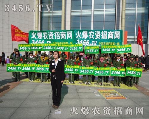 這是一場(chǎng)前所未有的盛會(huì)