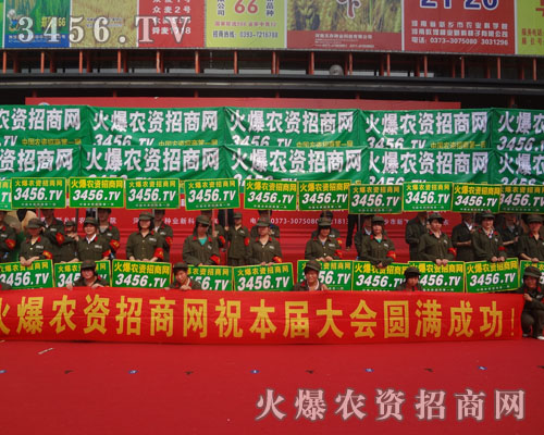 抓住機(jī)遇用智慧和實(shí)力展示著火爆網(wǎng)的魅力與實(shí)力