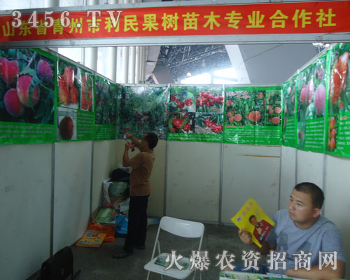 山東省青島市利民果樹苗木合作社