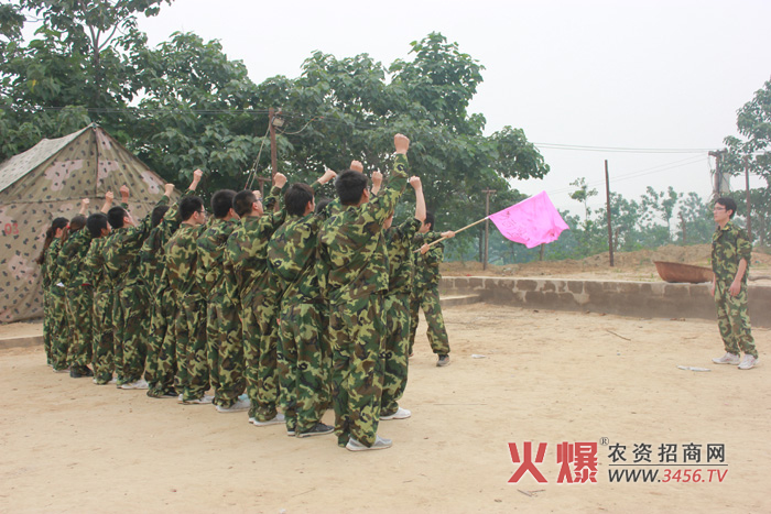 �M���F(tu��n)�ʿ��չʾ��