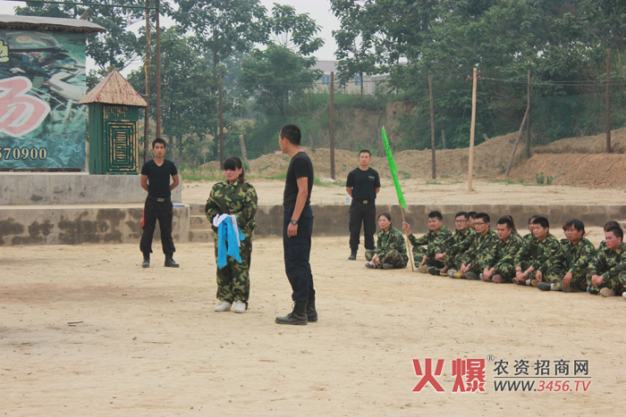 組建團(tuán)隊(duì)