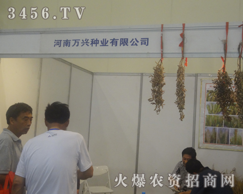 河南未農(nóng)種業(yè)2013鄭州種子交易會(huì)上戰(zhàn)績輝煌!