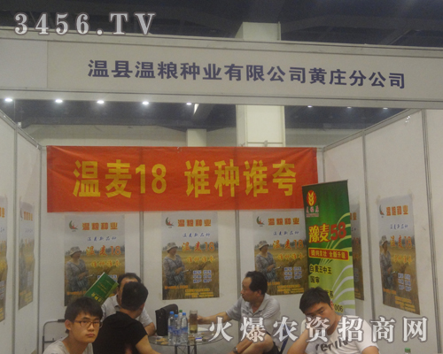溫縣溫糧種業(yè)有限公司黃莊分公司走進2013河南夏季種子會