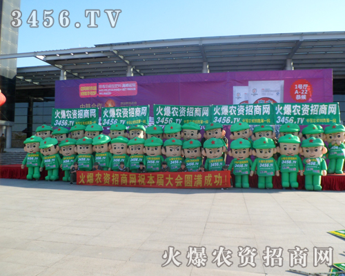 ����������ǰ