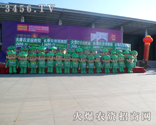 2013�|�����ϕ������Գ������������������������