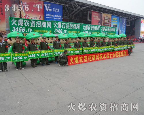 ��ͨ��ģ��������2013���׏�(f��)�ʕ�������һĨ��ɫ