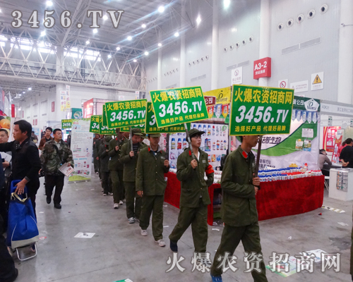 ���r(n��ng)�Y�W(w��ng)�����ɹ��ěQ�ĺ�����