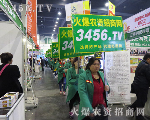 ��(ji��n)�ֲ�и����(ji��n)��׌���r(n��ng)�Y���̾W(w��ng)����������