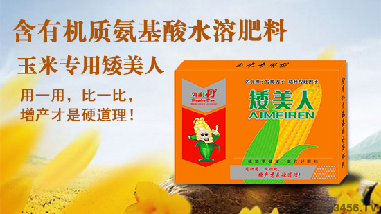 玉米控旺合理,可以增產(chǎn)30%,您做對沒有?