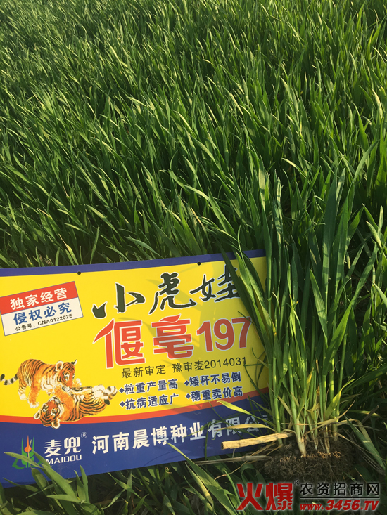 ���ϳ����N�I(y��)���޹�˾