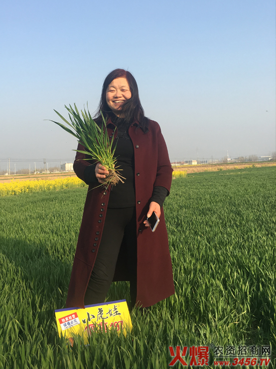 ���ϳ����N�I(y��)���޹�˾