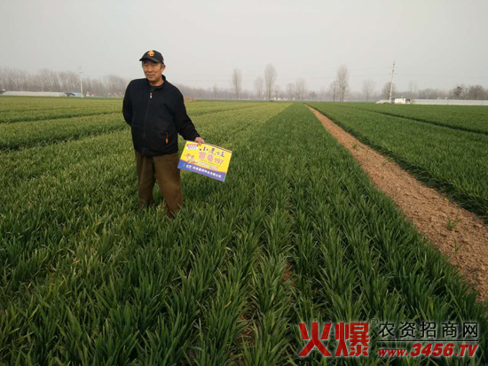 ���ϳ����N�I(y��)���޹�˾