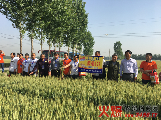 ���ϳ����N�I(y��)���޹�˾