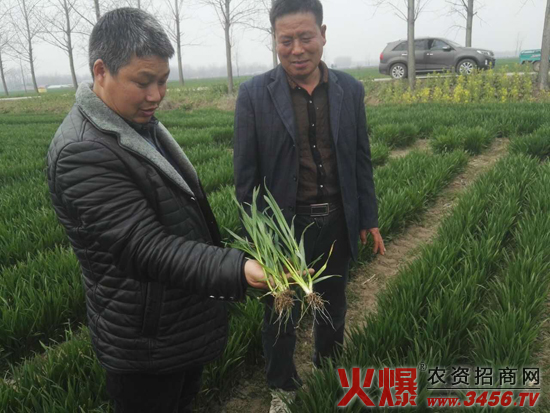 ���ϳ����N�I(y��)���޹�˾