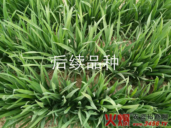 ���ϳ����N�I(y��)���޹�˾