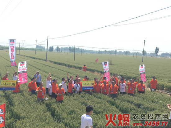 ���ϳ����N�I(y��)���޹�˾