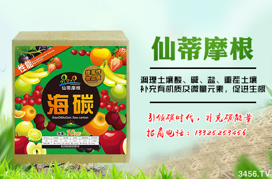 意大利帕沃尼—碳時(shí)代,補(bǔ)充碳能量