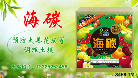 意大利帕沃尼—碳時(shí)代,補(bǔ)充碳能量