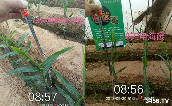 意大利帕沃尼—碳時(shí)代,補(bǔ)充碳能量