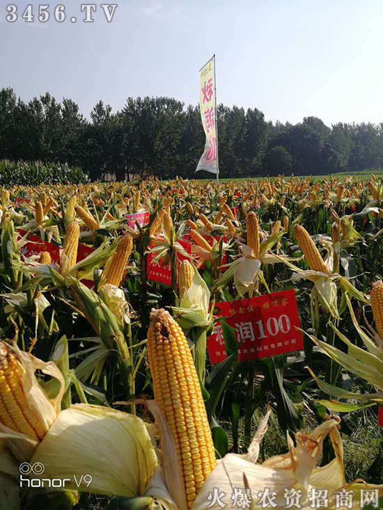 �����β��r(n��ng)�I(y��)�Ƽ����޹�˾����(j��ng)�N