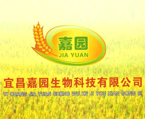 �˲��Έ@����Ƽ����޹�˾