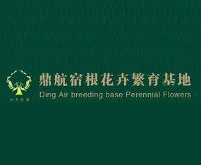 �_(t��i)���h�����޸����ܷ�������