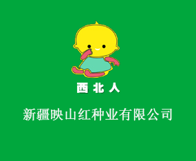 �½�ӳɽ�t�N�I(y��)���޹�˾