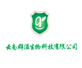 ����Ⱥ������Ƽ����޹�˾