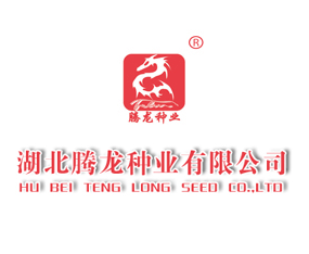 �����v���N�I(y��)���޹�˾