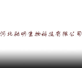 �ӱ��Y������Ƽ����޹�˾