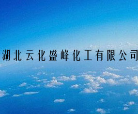 �����ƻ�ʢ�廯�����޹�˾