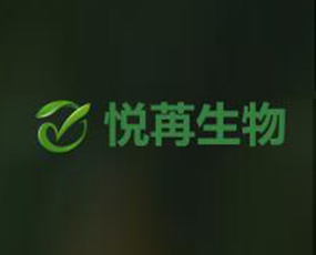 �ӱ���������Ƽ����޹�˾