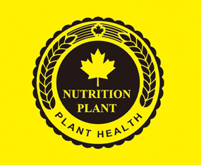 �ЅR��ɽ�|���r(n��ng)�I(y��)���F���޹�˾