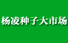 ����N�Ӵ��Ј�(ch��ng)