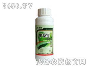 �S��-�o�茚