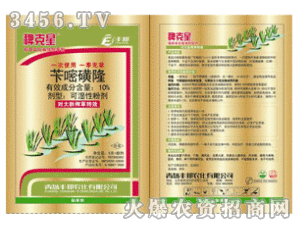 �S��-�޿���