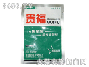 ������������p