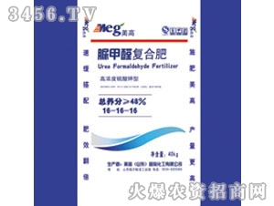 ���ȩ�ͺϷ�2