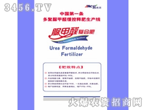 ���ȩ�ͺϷ�4