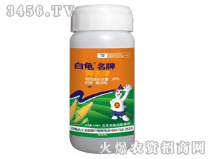 ��������-38%ݬȥ��