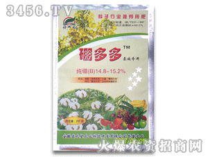 �����I����