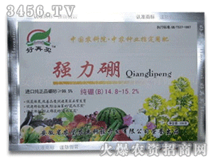 �����I������(15%B)