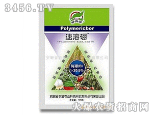 �����I������(100��20.5%B)